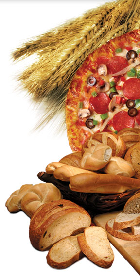 wholesale bread and pizza dough